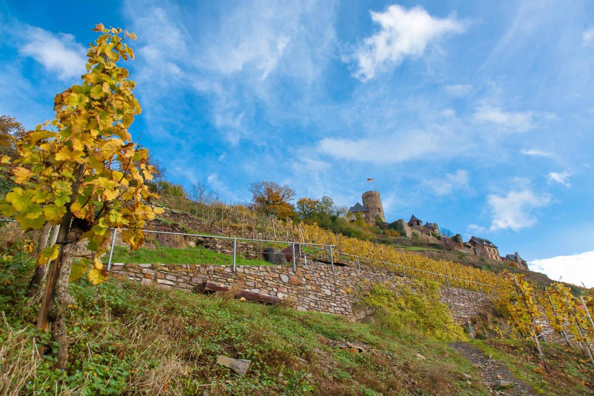 Landhaus Mueller Alken Exteriér fotografie